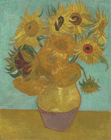The sunflowers