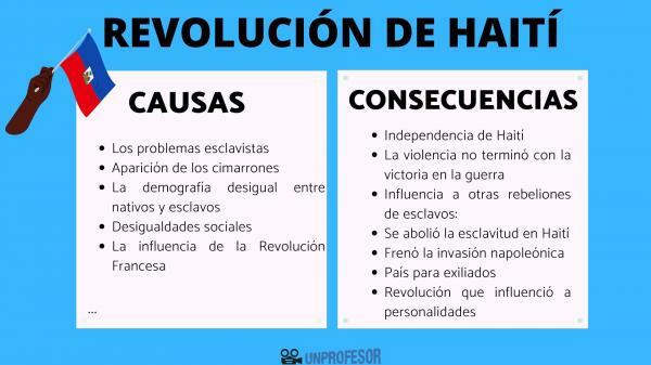 Хаићанска револуција: узроци и последице - последице Хаићанске револуције
