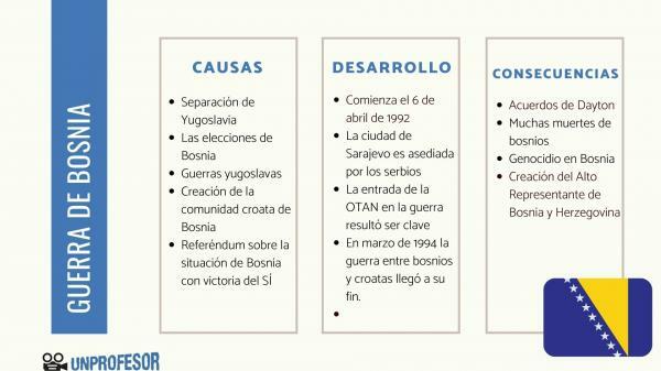 बोस्नियाई युद्ध: सारांश, कारण और परिणाम - बोस्नियाई युद्ध के परिणाम