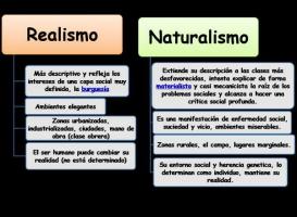 The MAIN characteristics of naturalism