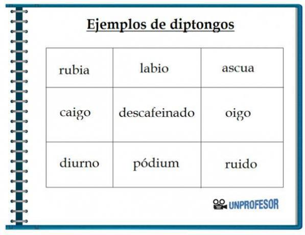 Examples of diphthongs