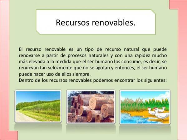 Classificação dos recursos naturais - Recursos renováveis