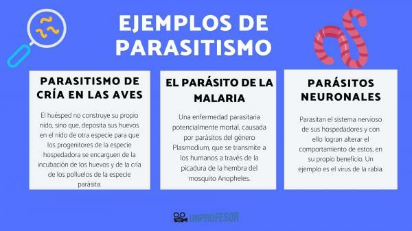 Príklady parazitovania