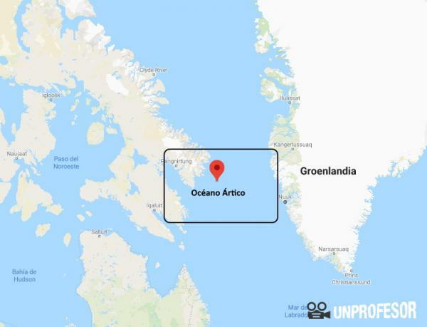 Océan Arctique: emplacement et caractéristiques