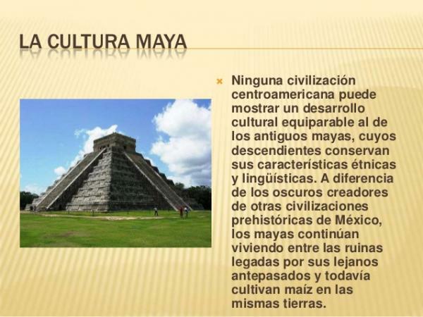 The languages ​​of the Maya - The culture of the Maya 