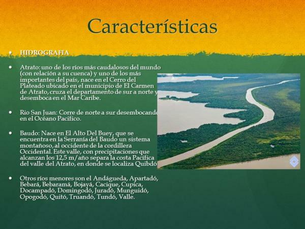 Caribbean Sea: location and characteristics - Characteristics of the Caribbean Sea