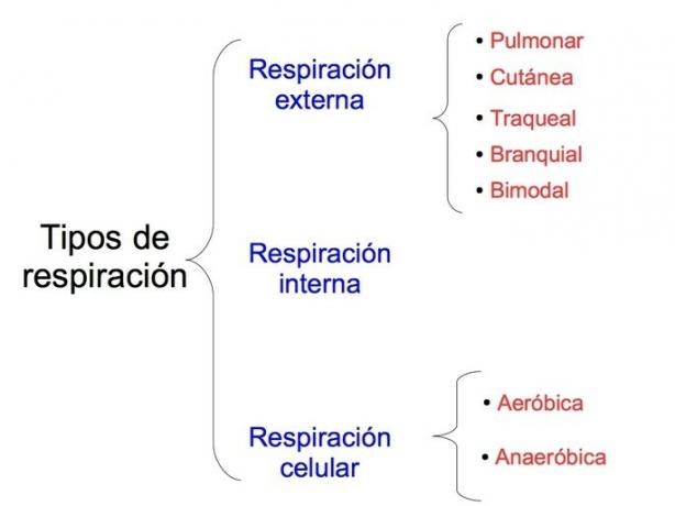 scheme and types of respiration