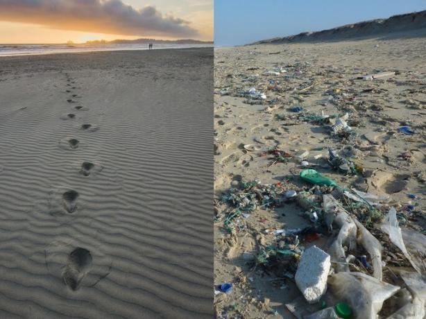 trash scattered on a beach as visual pollution