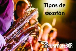 Different TYPES of SAXOPHONE that exist