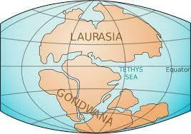大陸がどのように別れたか-最初の超大陸