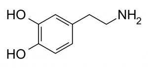 დოფამინი: ამ ნეიროტრანსმიტერის 7 აუცილებელი ფუნქცია
