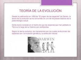 Hoe het leven is ontstaan ​​volgens DARWIN