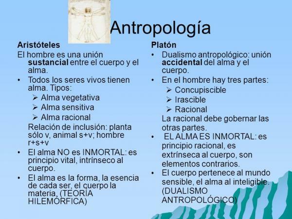 Unterschiede zwischen Platon und Aristoteles - Platonische VS Aristotelische Anthropologie