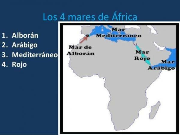 Maailmamered: nimed ja asukoht - Okeaania ja Aafrika mered