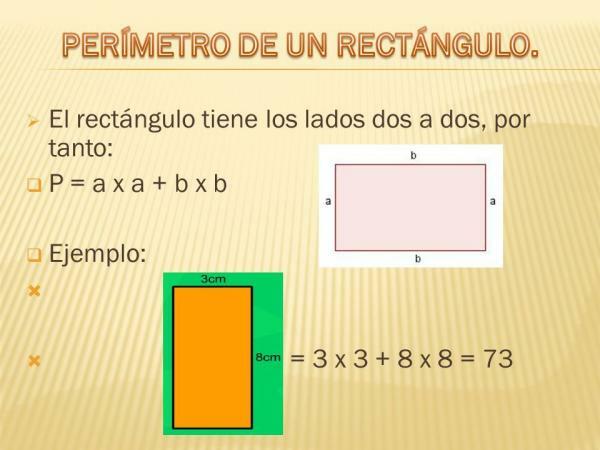 Как да намерим периметъра на правоъгълник - значение на периметъра в математиката