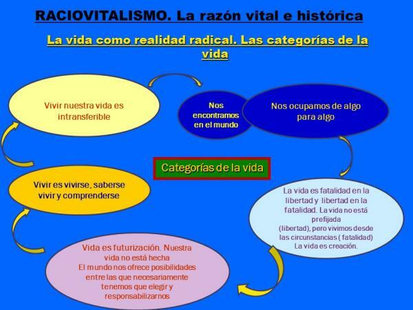 José Ortega y Gassetin filosofia - yhteenveto - Ratiovitalismi rationalismin ja vitalismin voittamiseksi