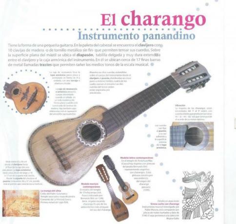 Musical instruments of Bolivia - Main musical instruments of Bolivia