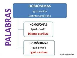 Думи на хомограф - определение и примери