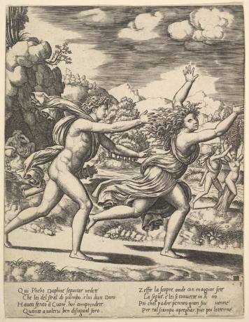 Myth Apollo and Daphne