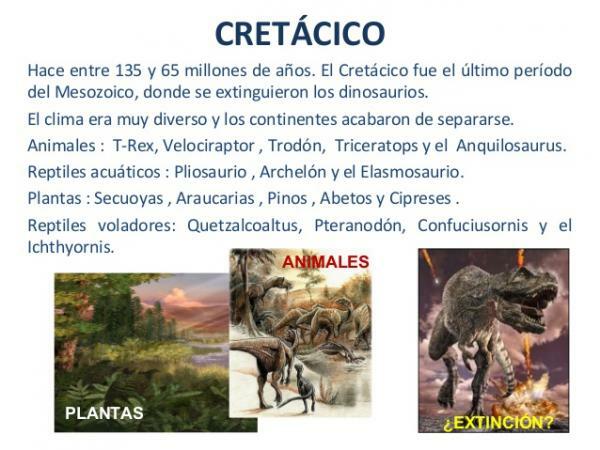 Período Cretáceo: Principais Características - As 11 Características Cretáceos Mais Destacadas