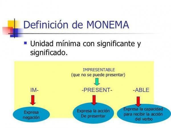 Monema: ορισμός και παραδείγματα - Ορισμός του monema