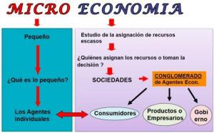 Discover the DIFFERENCES between macroeconomics and microeconomics