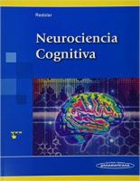 初心者のための13の神経科学の本