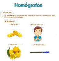 Homophones and homographs: meaning and examples
