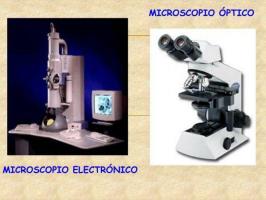 MICROSCOPE의 종류와 기능