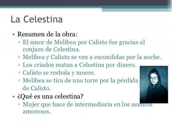 تحليل La Celestina - حجة La Celestina: ملخص موجز 