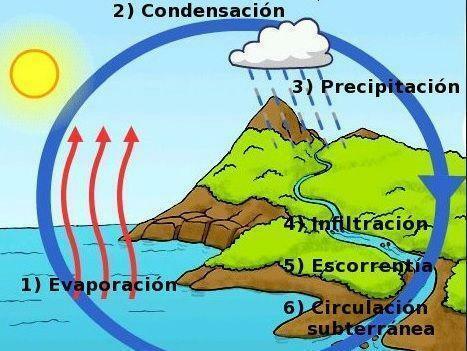 How Rain Is Made - Summary for Children - The Water Cycle