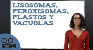Lizosomas, peroksisomas, plastikas un vakuolas