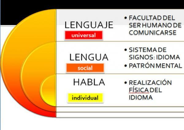 Γλώσσα και γλώσσα: Ομοιότητες και διαφορές - Ανθρώπινη ομιλία 
