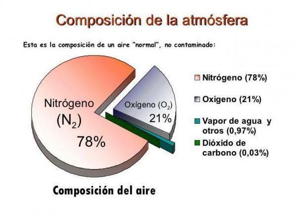 What is the composition of the air we breathe - The composition of the air