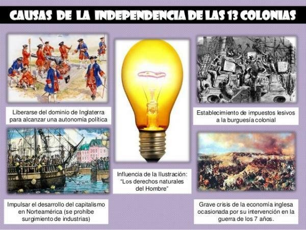 Independence of the 13 colonies: causes and consequences - Causes of the independence of the 13 colonies