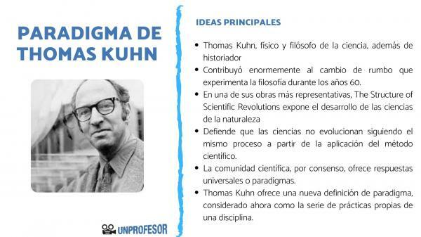 Thomas Kuhn's concept of paradigm