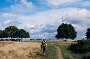 The psychological benefits of walking