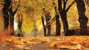 Autumn: what has to end for a new beginning