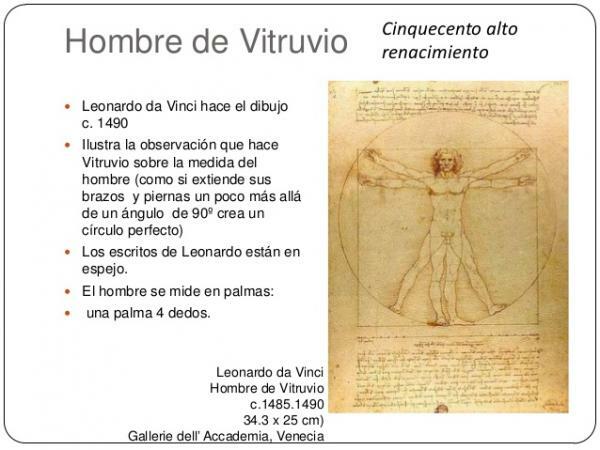 Витрувианский человек - Определение и характеристики - Витрувианский человек Леонардо да Винчи