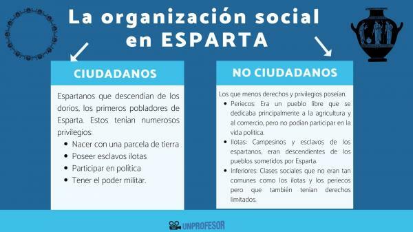 Social organization of Sparta - summary