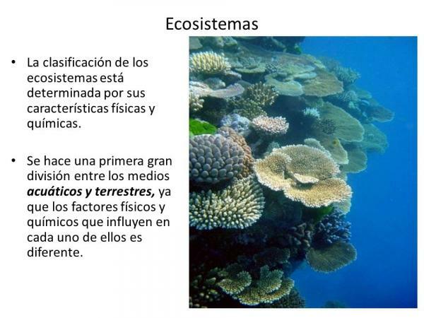 Ecosystem classification - What is an ecosystem?