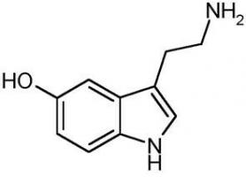 სეროტონინი: ამ ჰორმონის 6 მოქმედება თქვენს სხეულზე და გონებაზე