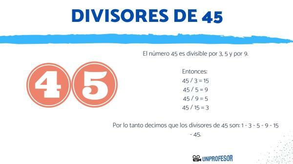 What are the divisors of 45