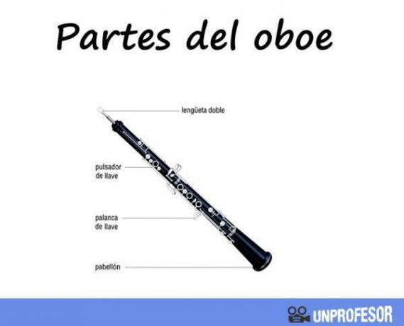 Oboe and clarinet: differences - What is the oboe and its characteristics